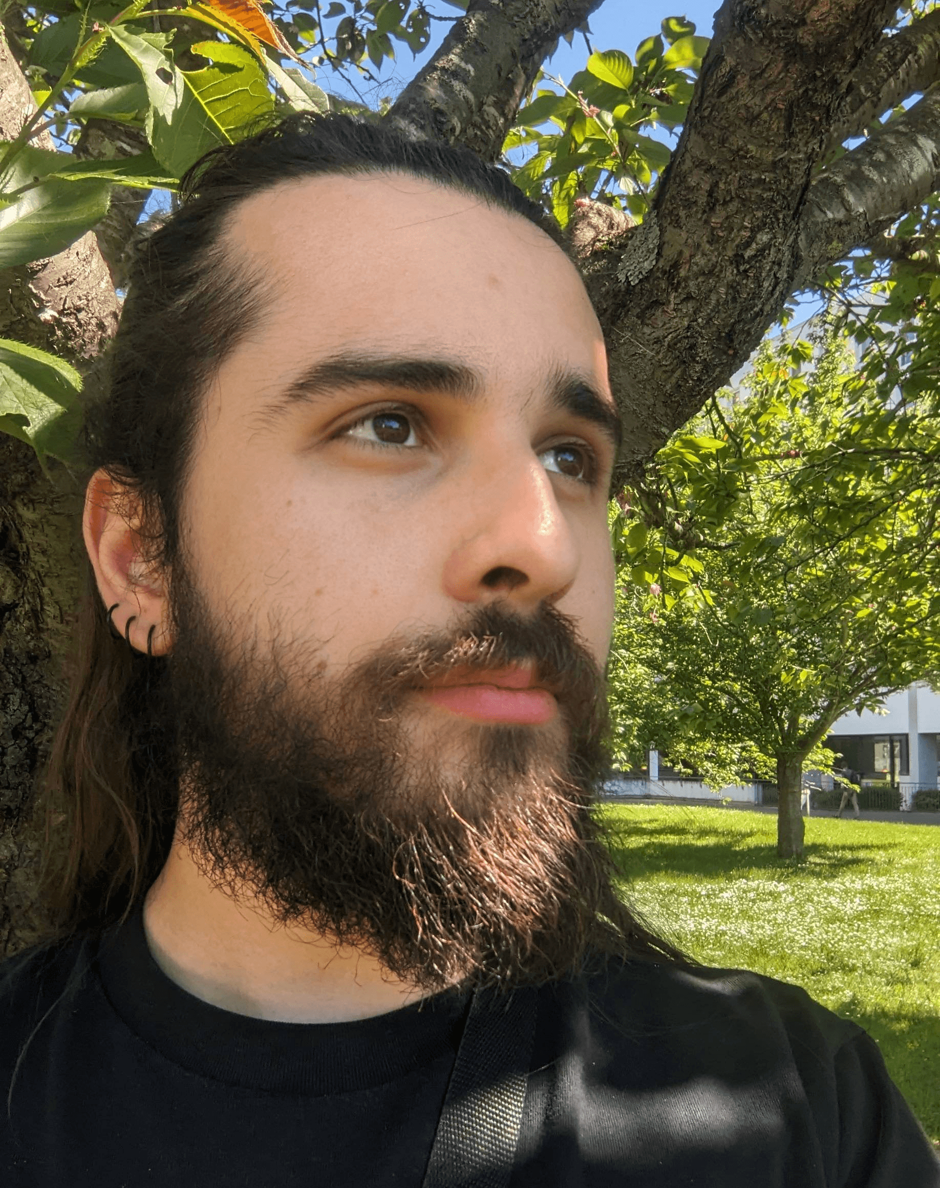 Website is finally out!